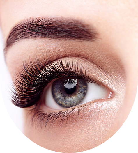 Lash & Brow Services in Orlando, FL